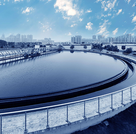 Feidhm Gineadóir Ocsaigine PSA